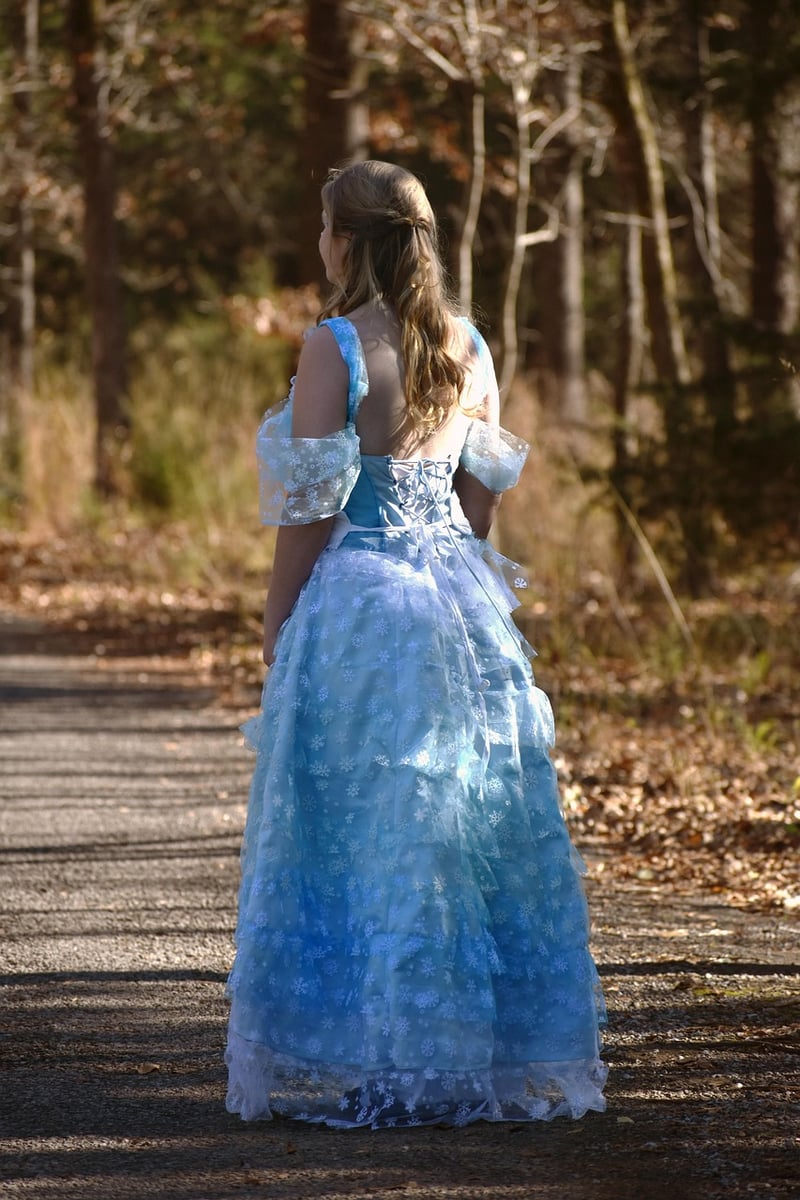 Fairy Princess Gowns